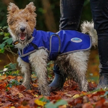 Weaterbeeta ComFiTec Premier Free Parka Deluxe hondenjas Medium